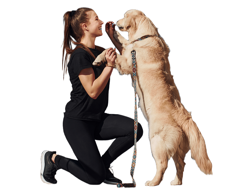 Trainer Girl With Dog